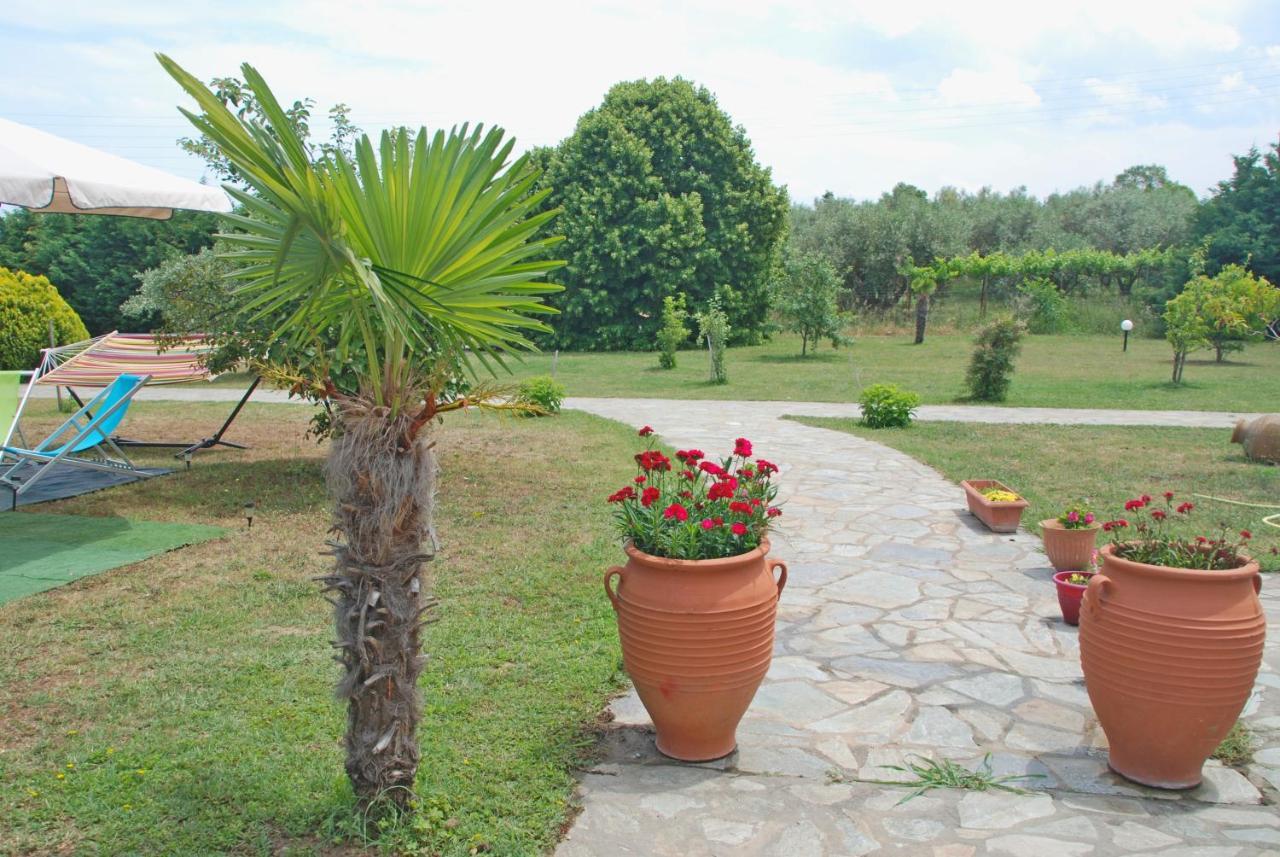 Casa Consta Olympus Villa Litóchoron Luaran gambar